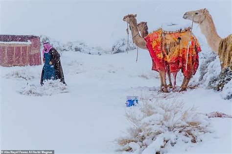 Ice blankets the Sahara desert while snow falls in Saudi Arabia where ...