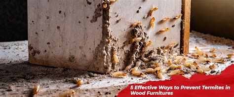 5 Effective Ways to Prevent Termites in Wood Furnitures