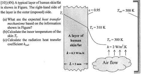 [10] (4N) A typical layer of human skin/fat is shown | Chegg.com