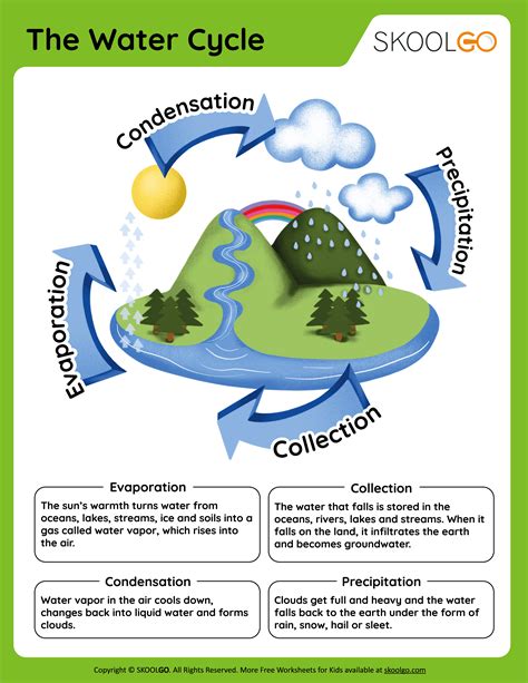 The Water Cycle - Free Worksheet - SKOOLGO