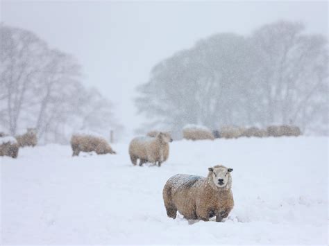 What is a polar vortex? Weather forecast UK 2023 | The Independent