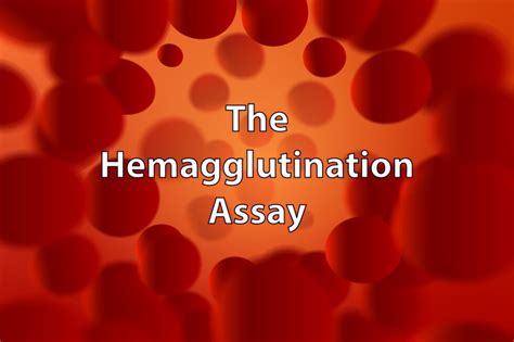 The Hemagglutination Assay | VIROLOGY RESEARCH SERVICES