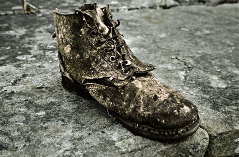 The Old Shoe Free Stock Photo - Public Domain Pictures