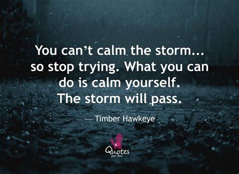 Focus On What You Can Control Quotes - ShortQuotes.cc