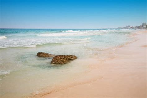 Cancun Nightlife (panoramic) Editorial Photo - Image of tree ...