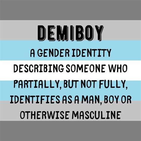 Demiboy Flag