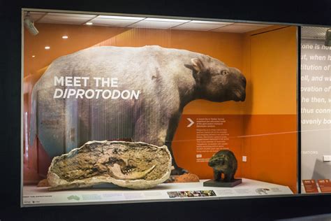 Megafauna - The Australian Museum