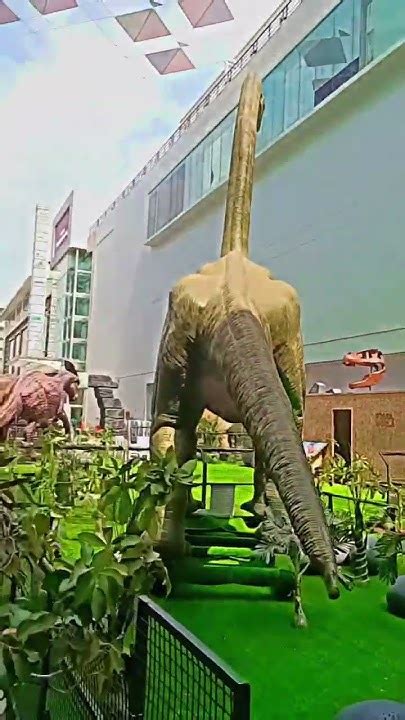 dinosaur___Alfa mall Ahmedabad Gujarat ️ - YouTube