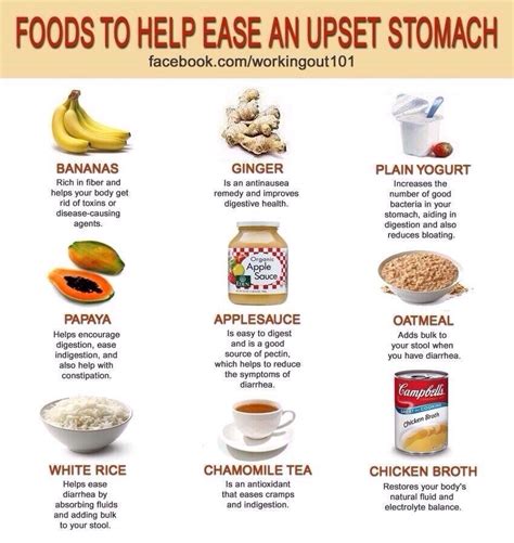 Foods To Help Ease An Upset Stomach | Trusper