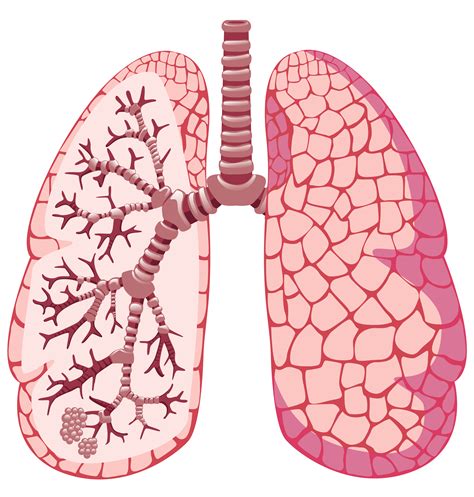 10 Essential Asthma Terms You Should Know