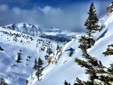 kicking horse resort powder - Google Search | Mountain resort, Capital of canada, Resort