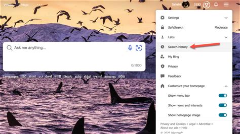 How to Clear Bing AI Chat Search History