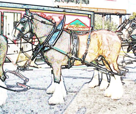 Clydesdales - Colored Pencil Digital Art by Marian Bell - Fine Art America