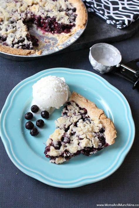 Saskatoon Berry Pie (Easy Recipe) - Moms & Munchkins