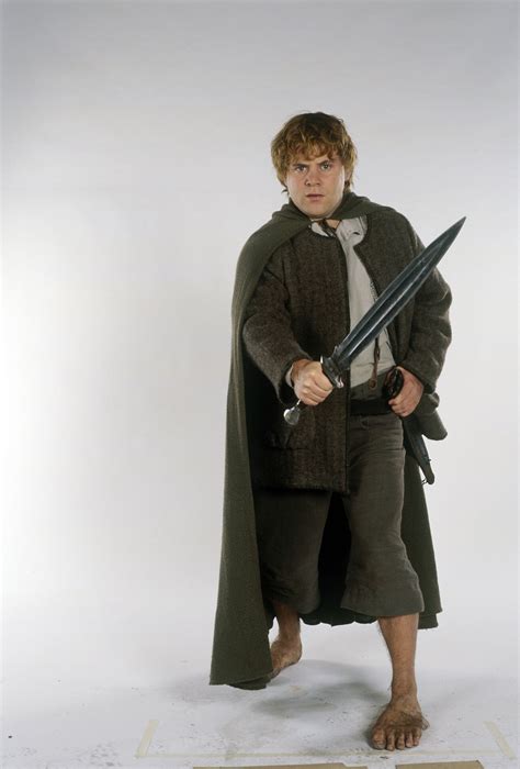 Sam Lotr TT - Lord of the Rings Photo (37618542) - Fanpop