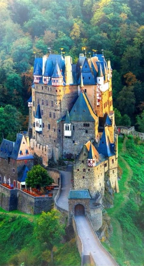 an aerial view of a castle in the woods