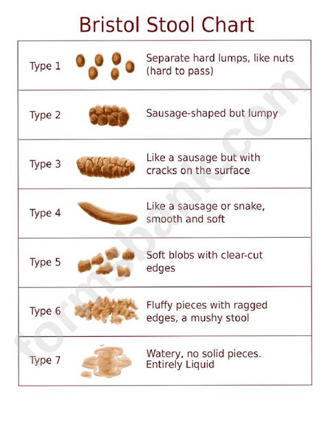 Bristol Stool Chart printable pdf download