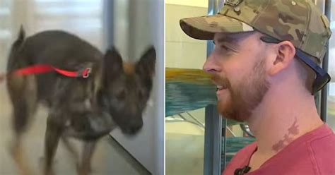 Dog runs and jumps into the arms of his soldier friend after years apart