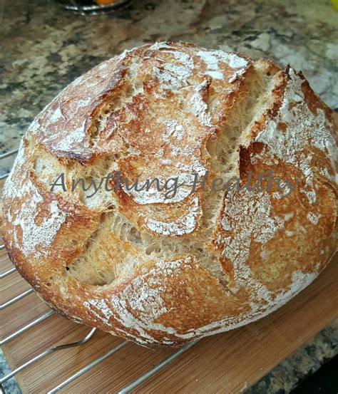 Whole Wheat Sourdough Bread Starter Probiotic Culture easy to