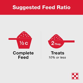 What do ducks eat? Tips and best practices| Purina Animal Nutrition