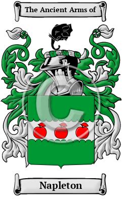 Napleton Name Meaning, Family History, Family Crest & Coats of Arms