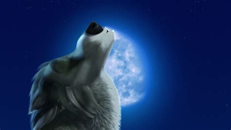 Moonlight Howl | Alpha and Omega Wiki | Fandom