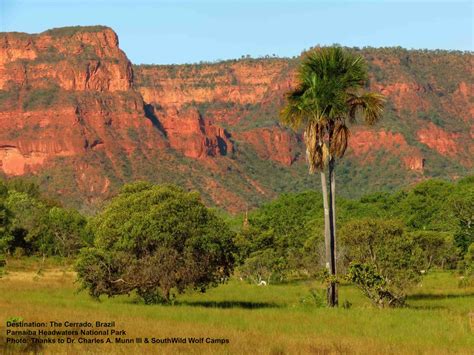 A Guide to Parnaiba Headwaters National Park, Brazil — Destination: Wildlife™