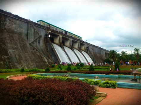 my heart speaks ...: malampuzha dam opened! :)