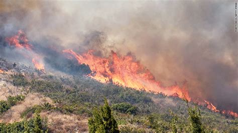 Marijuana farms are burning in California wildfires