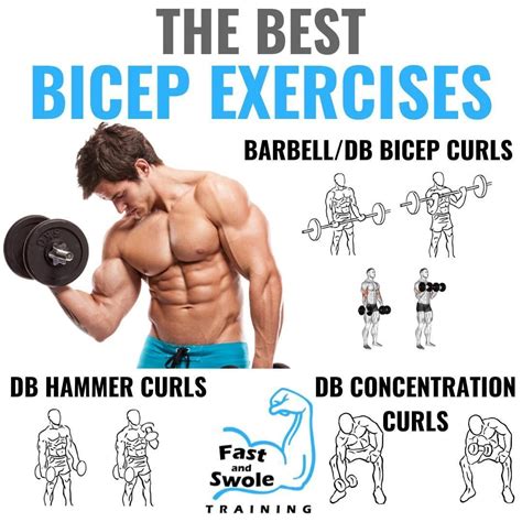 Bicep Tricep Splits Workout Routines We Are Bodybuilders - Photos