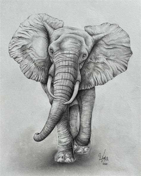 Elephant Pencil Drawing Elephant Wall Art Elephant Home - Etsy UK ...