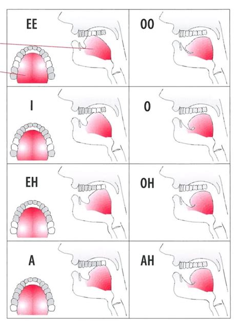 Is there a proper tongue position? : r/singing