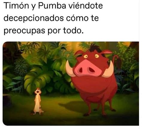 Pin de Yadira Santiago en Memes | Timón y pumba, Pumba, Humor venezolano