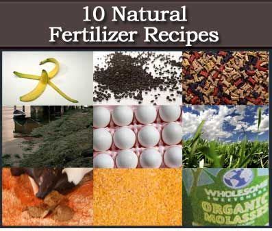 10 Natural Organic Fertilizer Recipes | Gardening | Pinterest | Organic fertilizer