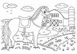 Horse Barn Coloring Page sketch template