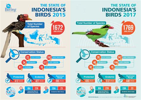 status burung indonesia – OM KICAU