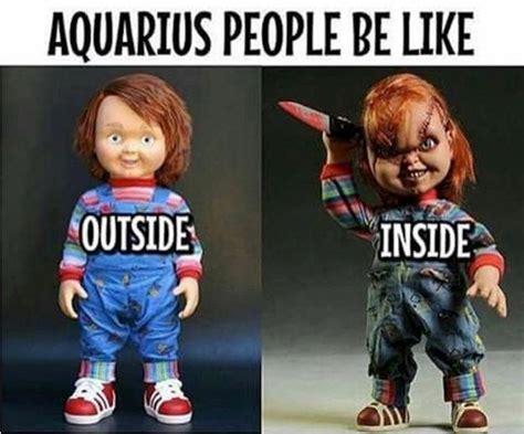 Funny Aquarius Season Memes to Share With Friends