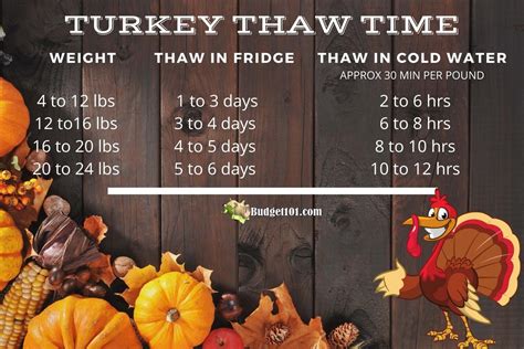 How Long Can You Leave a Turkey in Water to Thaw? A Guide to Safe ...