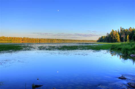 Looking across lake Itasca state park, Minnesota image - Free stock photo - Public Domain photo ...