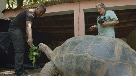 Aldabra Giant Tortoise | RARE: Creatures of the Photo Ark | Official ...