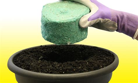 Flower Rocket Planting Kit and Roll-Out Grass Patch | Groupon