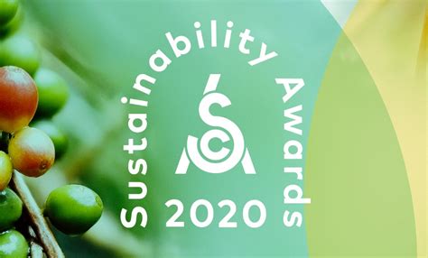 Sca announces winners for the 3 categories of the Sustainability Awards