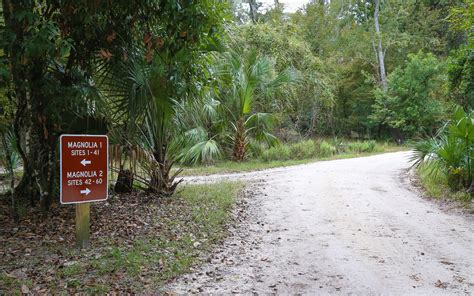 Manatee Springs State Park Campground | Outdoor Project