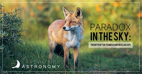 Paradox in the Sky: The Myth of the Teumessian Fox and Laelaps ...