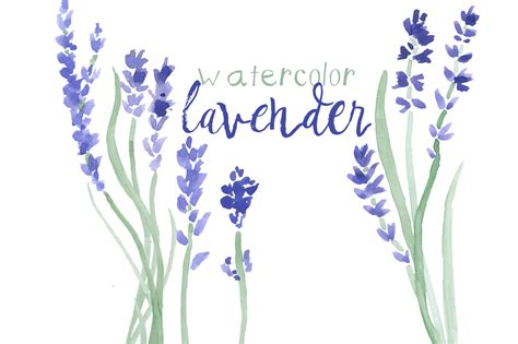 Watercolor Lavender Clip Art ~ Illustrations on Creative Market