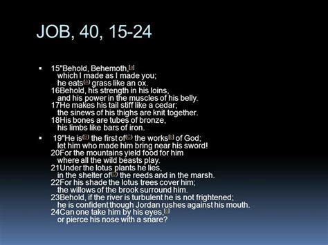 Job 40 15-24 - behemoth possibly a sauropod | Creation science, Job, Behemoth