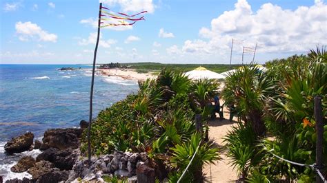 Coconuts Cozumel Mexico Address and Map