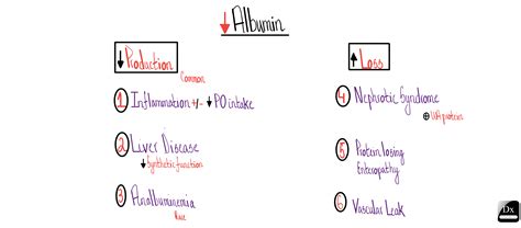 Hypoalbuminemia – The Clinical Problem Solvers