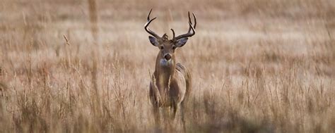 Nebraska Hunting - Hall and Hall