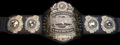 Custom IWGP World Heavyweight Championship | Wwe belts, Japanese ...